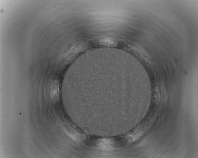 X0000087320320200705041721