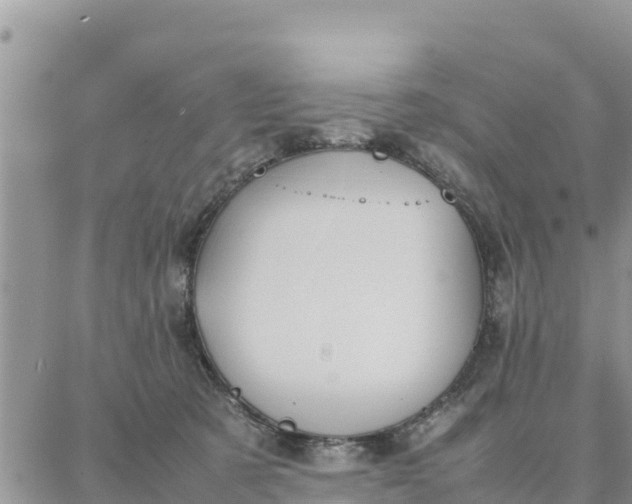 X0000087320321200705041721