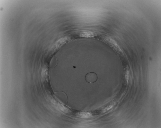 X0000087320322200705041721