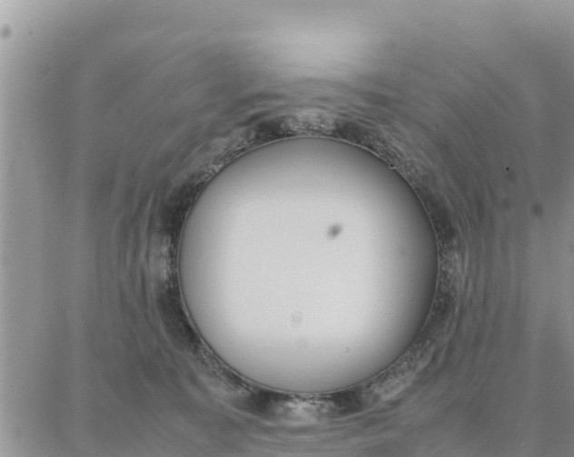 X0000087320323200705041721