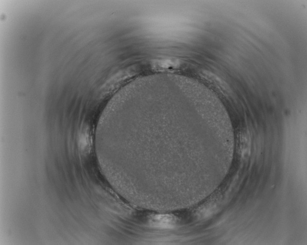 X0000087320324200705041721