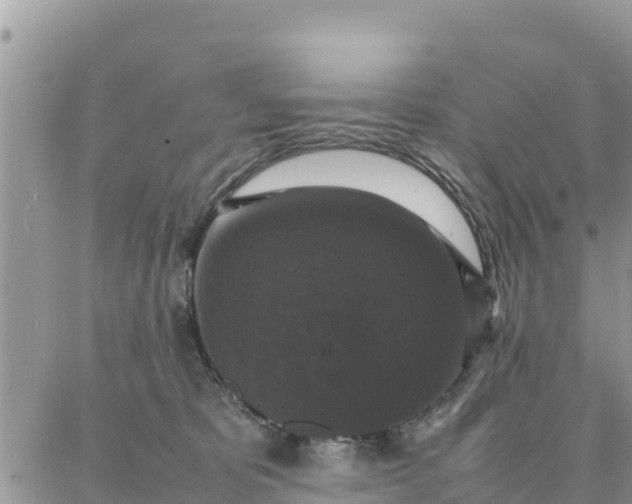 X0000087320325200705041721