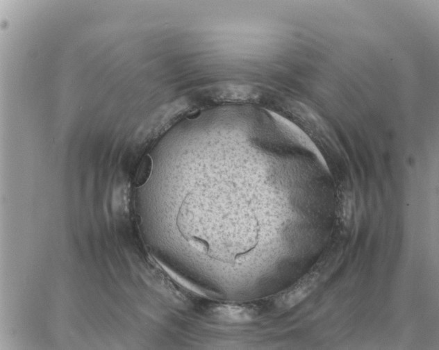 X0000087320326200705041721