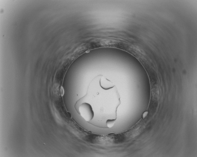 X0000087320327200705041721