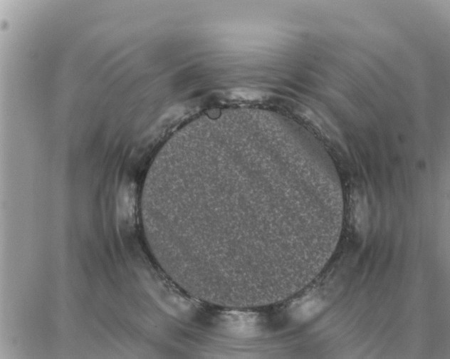 X0000087320328200705041721