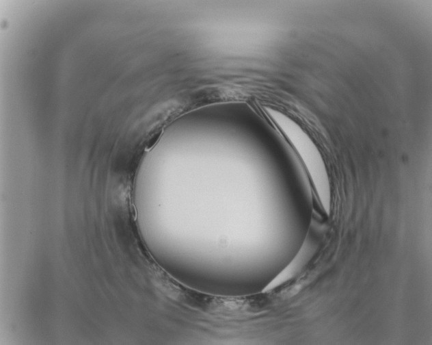 X0000087320329200705041721