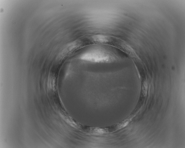 X0000087320330200705041721