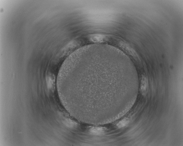 X0000087320332200705041721