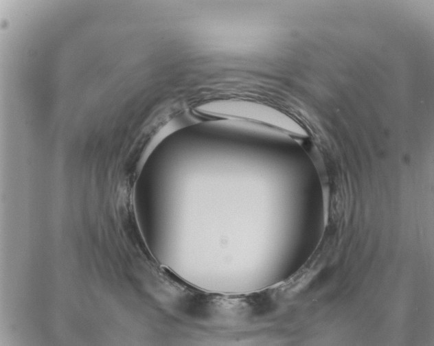 X0000087320333200705041721