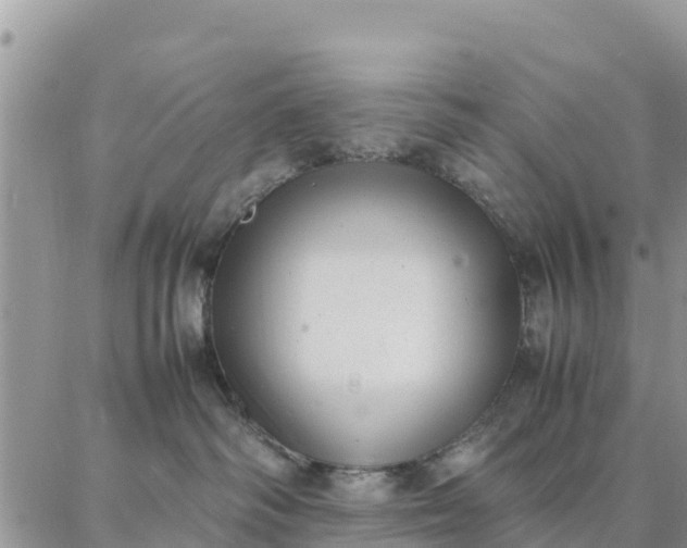 X0000087320334200705041721