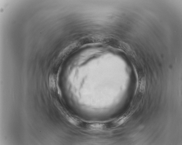 X0000087320335200705041721