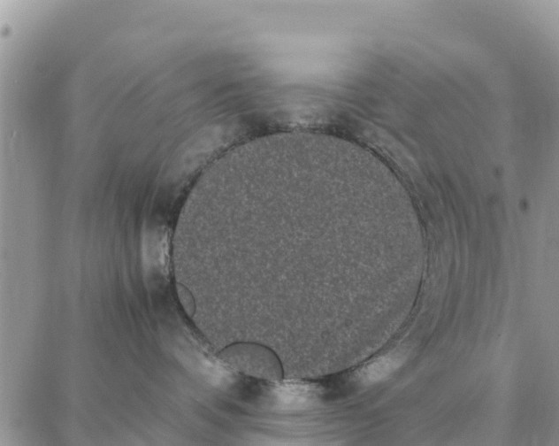 X0000087320336200705041721