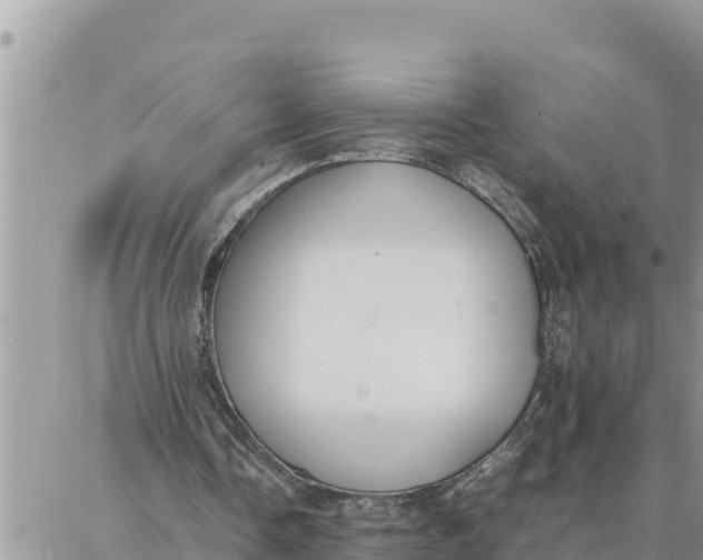 X0000087320338200705041720