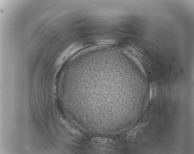 X0000087320339200705041720