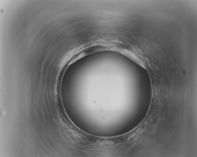 X0000087320340200705041720