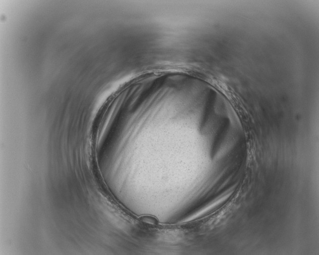 X0000087320342200705041720