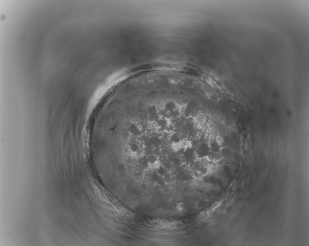 X0000087320343200705041720