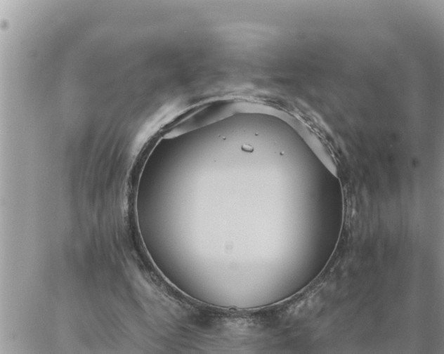 X0000087320344200705041720