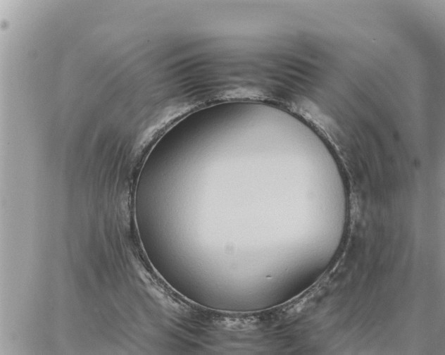 X0000087320345200705041720