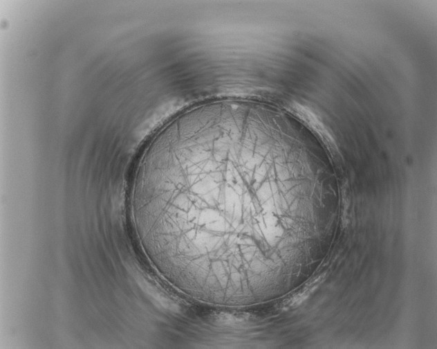 X0000087320346200705041720