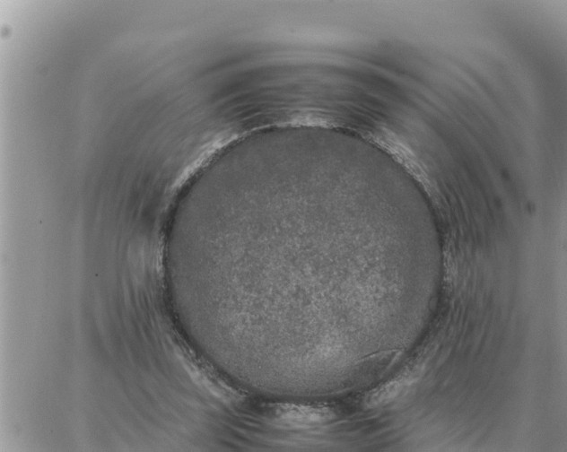 X0000087320347200705041720