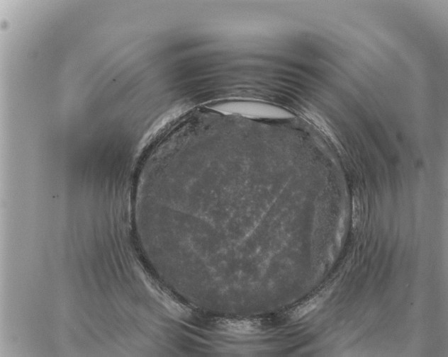 X0000087320349200705041720