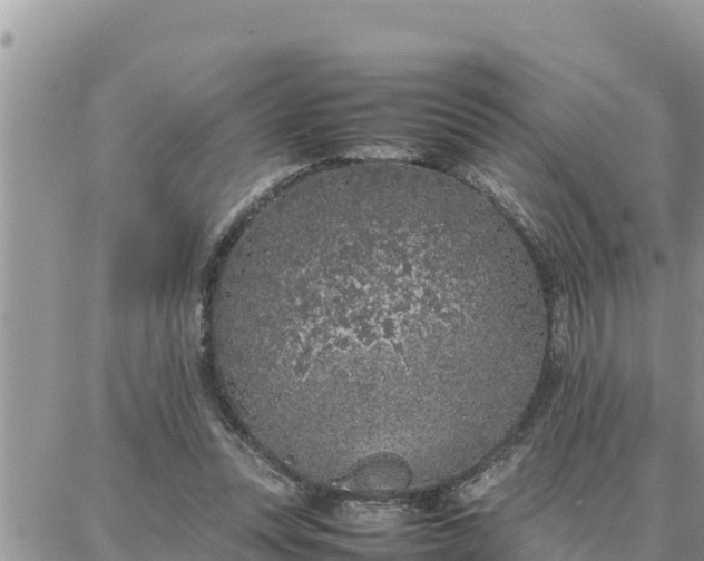 X0000087320351200705041720