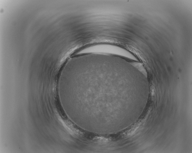 X0000087320352200705041720