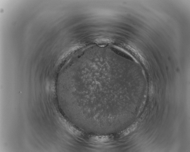 X0000087320353200705041720