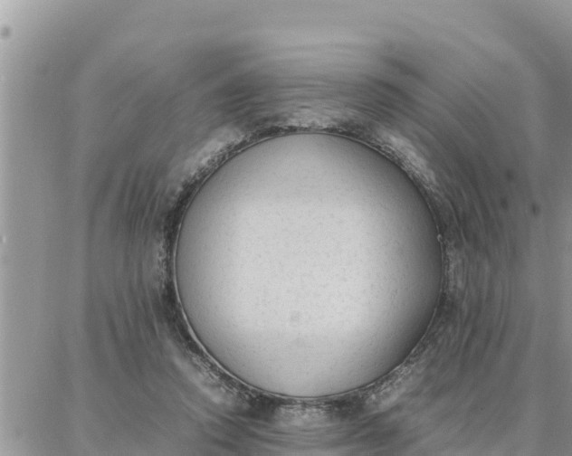 X0000087320354200705041720