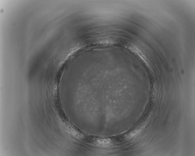 X0000087320355200705041720