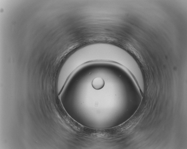 X0000087320356200705041720