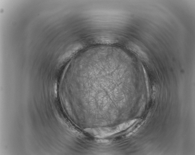 X0000087320358200705041720