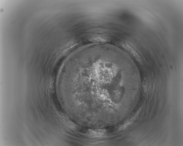 X0000087320359200705041720