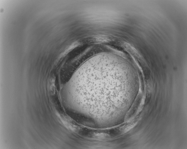 X0000087320360200705041720