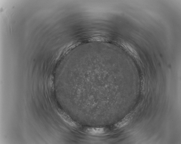 X0000087320361200705041720