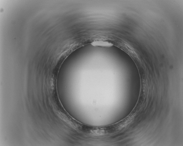 X0000087320362200705041720