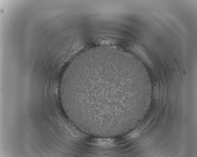 X0000087320363200705041720