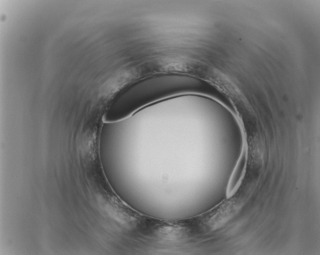 X0000087320364200705041720