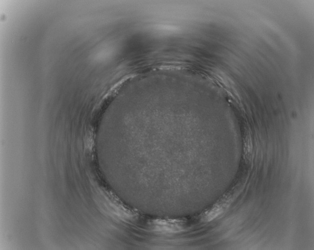 X0000087320367200705041720