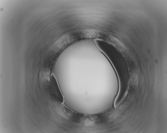 X0000087320368200705041720