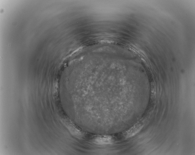 X0000087320369200705041720