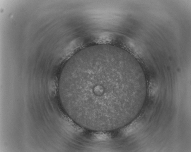 X0000087320370200705041720