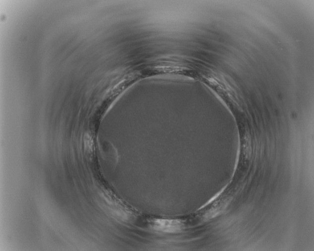 X0000087320371200705041720