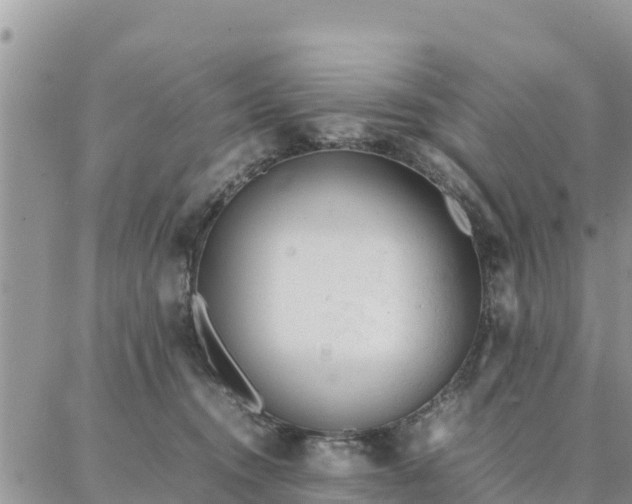 X0000087320372200705041720