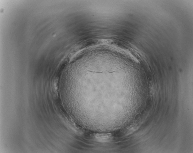 X0000087320373200705041720