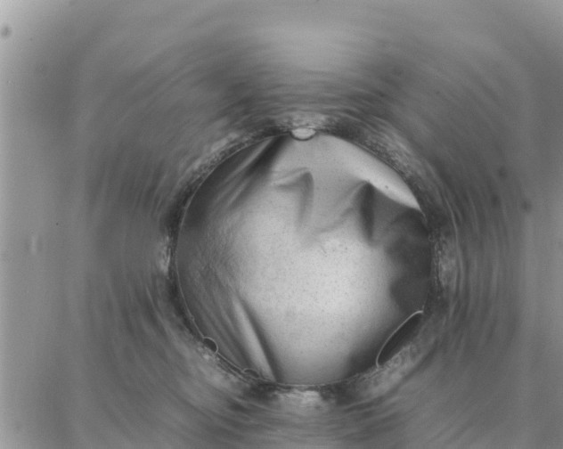 X0000087320374200705041720