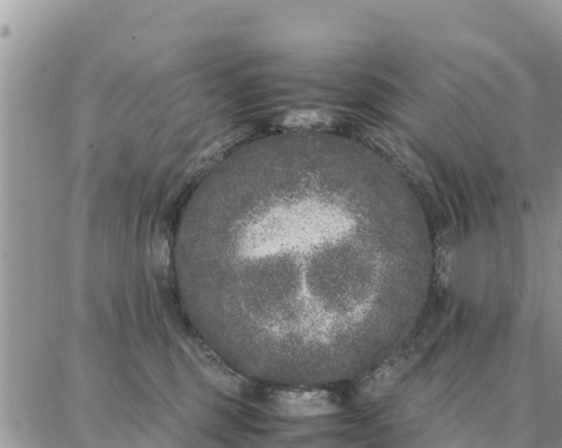 X0000087320375200705041720