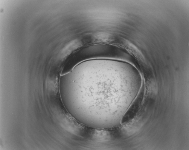 X0000087320376200705041720