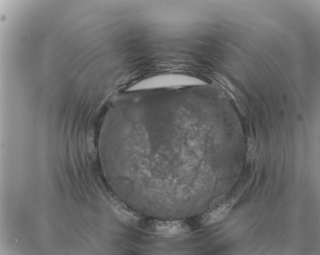 X0000087320377200705041720